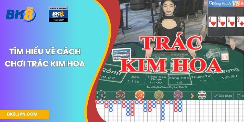 Tìm hiểu về cách chơi Trác Kim Hoa